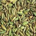 Fennel Seeds