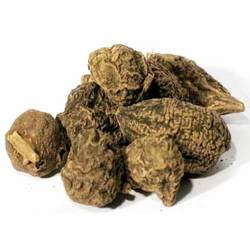 Manufacturers Exporters and Wholesale Suppliers of Jalapa Root KOLKATA West Bengal