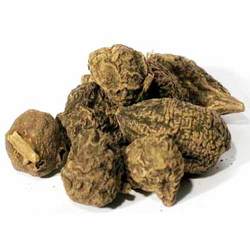 Jalapa Root