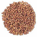Whole Coriander Seeds Manufacturer Supplier Wholesale Exporter Importer Buyer Trader Retailer in SECUNDERABAD Andhra Pradesh India