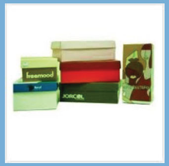 Printed Shoe Boxes Manufacturer Supplier Wholesale Exporter Importer Buyer Trader Retailer in Badlapur, Dist Thane Maharashtra India