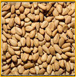 Manufacturers Exporters and Wholesale Suppliers of Brown Sesame Seeds KOLKATA West Bengal