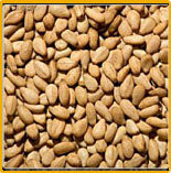 Brown Sesame Seeds Manufacturer Supplier Wholesale Exporter Importer Buyer Trader Retailer in KOLKATA West Bengal India