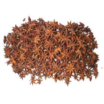 Star Aniseeds