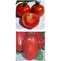 Open Pollinated Tomato Seeds