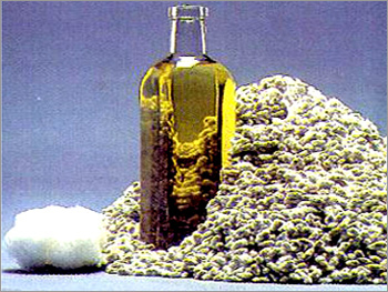 Cottonseed Oil Manufacturer Supplier Wholesale Exporter Importer Buyer Trader Retailer in MUMBAI Maharashtra India