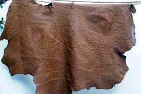 Ostrich leather for sale Manufacturer Supplier Wholesale Exporter Importer Buyer Trader Retailer in Cape Town  South Africa