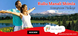 Service Provider of Shimla Kullu Manali Volvo Tour Package New Delhi Delhi 