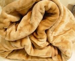 Manufacturers Exporters and Wholesale Suppliers of Mink Blanket Mumbai Maharashtra