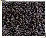 Black Sesame Seeds Manufacturer Supplier Wholesale Exporter Importer Buyer Trader Retailer in MUMBAI Maharashtra India
