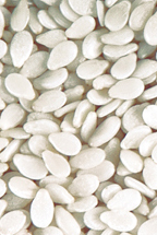 Hulled Sesame Seeds Manufacturer Supplier Wholesale Exporter Importer Buyer Trader Retailer in MUMBAI Maharashtra India
