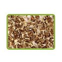 Moringa Seeds Manufacturer Supplier Wholesale Exporter Importer Buyer Trader Retailer in MUMBAI Maharashtra India