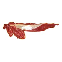 Buffalo Hindquarter Meat
