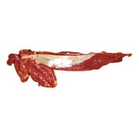 Manufacturers Exporters and Wholesale Suppliers of Buffalo Hindquarter Meat Hingoli Maharashtra