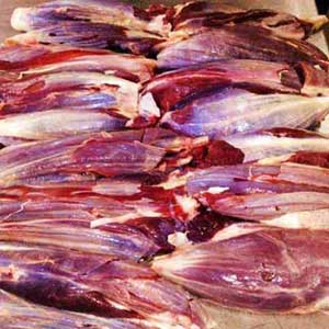 Manufacturers Exporters and Wholesale Suppliers of Shin Shank Hingoli Maharashtra Shin Shank