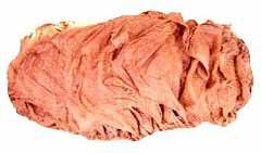 Manufacturers Exporters and Wholesale Suppliers of Salted Omasum Hingoli Maharashtra Salted Omasum