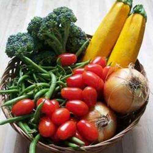 Fresh Vegetables Manufacturer Supplier Wholesale Exporter Importer Buyer Trader Retailer in Kolkata West Bengal India