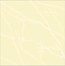 Manufacturers Exporters and Wholesale Suppliers of Floor Tiles 48 Gondal Gujarat
