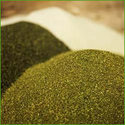 Organic Fertilizer Manufacturer Supplier Wholesale Exporter Importer Buyer Trader Retailer in  Sirsa Haryana India