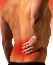 Manufacturers Exporters and Wholesale Suppliers of Backache New Delhi Delhi