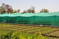 Manufacturers Exporters and Wholesale Suppliers of Agro Shade Net Surat Gujarat