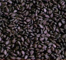Black Sesame Seeds Manufacturer Supplier Wholesale Exporter Importer Buyer Trader Retailer in Rajkot  India