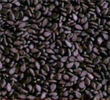 Manufacturers Exporters and Wholesale Suppliers of Black Sesame Seeds Rajkot 