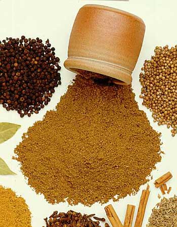 Manufacturers Exporters and Wholesale Suppliers of Garam Masala Powder Rajkot 