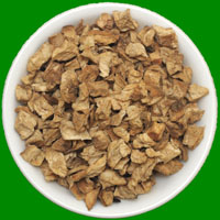 Dried Chicory Cubes Manufacturer Supplier Wholesale Exporter Importer Buyer Trader Retailer in Gujarat Gujarat India