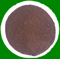 Roasted Chicory Powder Manufacturer Supplier Wholesale Exporter Importer Buyer Trader Retailer in Gujarat Gujarat India