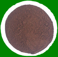 Manufacturers Exporters and Wholesale Suppliers of Roasted Chicory Powder Gujarat Gujarat