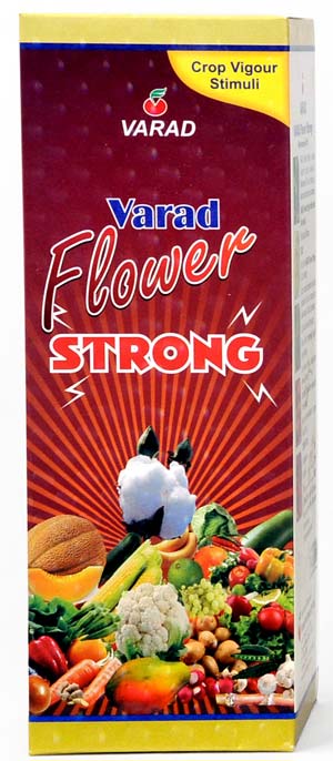 Flower Strong Manufacturer Supplier Wholesale Exporter Importer Buyer Trader Retailer in Mumbai Maharashtra India