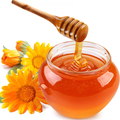 Honey Manufacturer Supplier Wholesale Exporter Importer Buyer Trader Retailer in Delhi Delhi India
