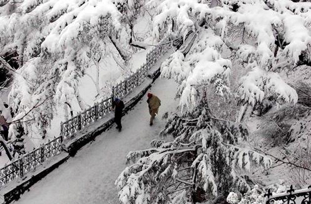 Service Provider of Shimla Snow Fall Amritsar Punjab 