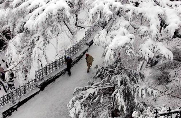 Service Provider of Shimla Snow Fall Amritsar Punjab