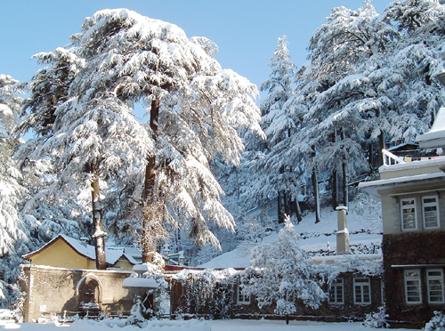 Service Provider of Shimla Resorts Amritsar Punjab 