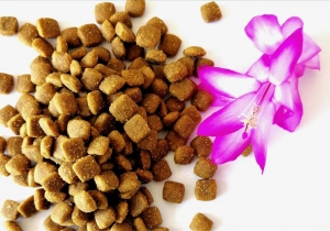 Pet Food Factory Supply Natural and Organic Dry Dog Food in High Quality Manufacturer Supplier Wholesale Exporter Importer Buyer Trader Retailer in shijiazhuang Alaska China