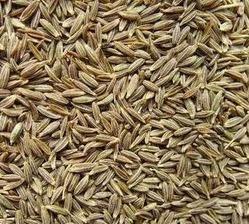 Manufacturers Exporters and Wholesale Suppliers of Cumin Pathanamthitta Kerala