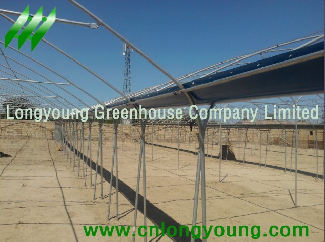 Tunnel-Connected Greenhouse Manufacturer Supplier Wholesale Exporter Importer Buyer Trader Retailer in xiamen  China