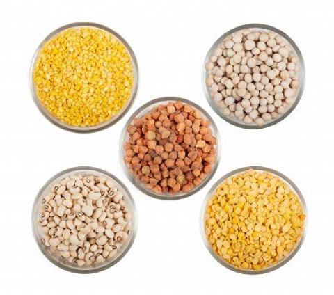 Pulses Manufacturer Supplier Wholesale Exporter Importer Buyer Trader Retailer in Trichy Tamil Nadu India