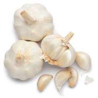 Manufacturers Exporters and Wholesale Suppliers of Garlic penukonda Andhra Pradesh