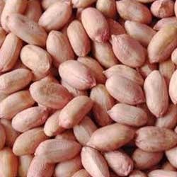 Manufacturers Exporters and Wholesale Suppliers of Peanuts Pune Maharashtra