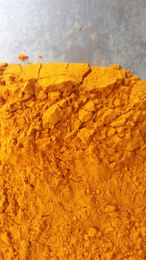 Manufacturers Exporters and Wholesale Suppliers of Turmeric Powder Tuticorin Tamil Nadu