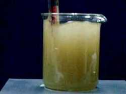 Manufacturers Exporters and Wholesale Suppliers of Coagulants Mumbai Maharashtra