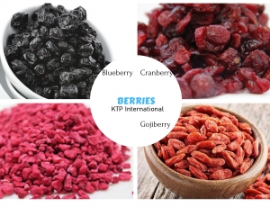 Berries - Cranberry, GoldenBerry, Blueberry, Raspberry, Gojiberry, Blackberry, Strawberry Manufacturer Supplier Wholesale Exporter Importer Buyer Trader Retailer in Rajkot Gujarat India