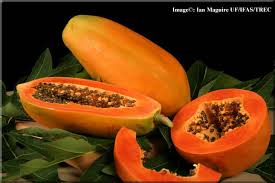 Papaya