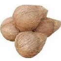 Raw Coconut Manufacturer Supplier Wholesale Exporter Importer Buyer Trader Retailer in Bangalore Karnataka India