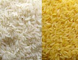 Manufacturers Exporters and Wholesale Suppliers of Rice Shahjahanpur Uttar Pradesh