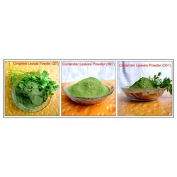 Manufacturers Exporters and Wholesale Suppliers of Coriander Leaves Powder Udaipur Rajasthan