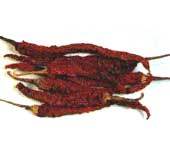 Byadagi
